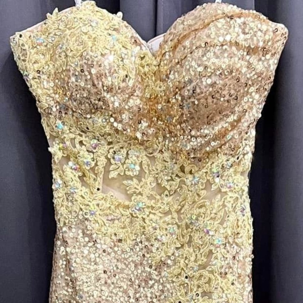 Tony Bowls Le Gala Sequin Gown